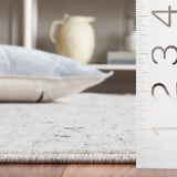 Safavieh Antique Patina 4'-0" x 5'-7" Rug in Ivory / Blue