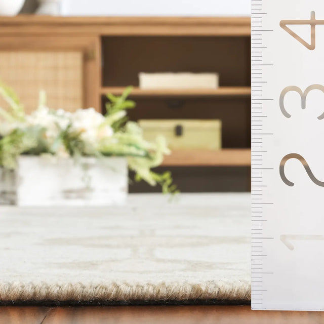 Safavieh Kenya 4'-0" x 6'-0" Rug in Beige / Ivory
