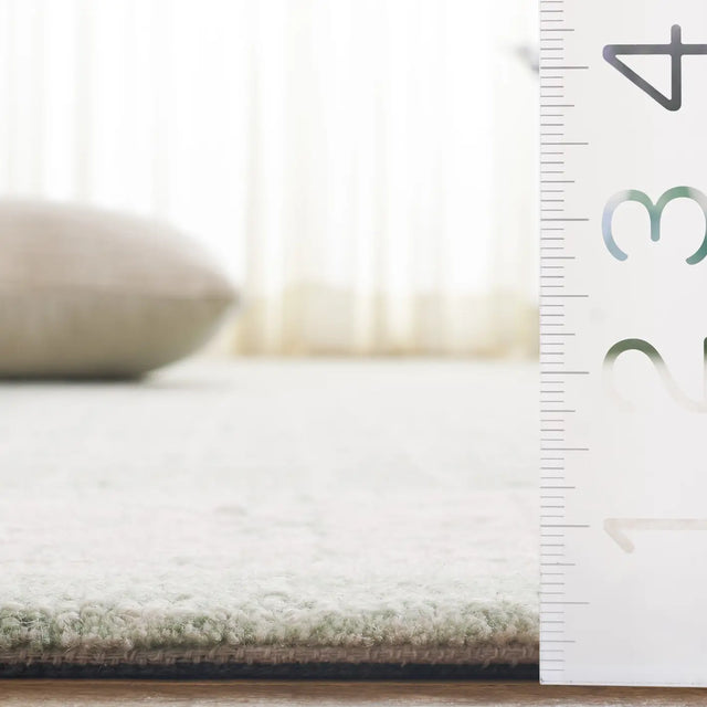 Safavieh Ebony 4'-0" x 6'-0" Rug in Green / Ivory