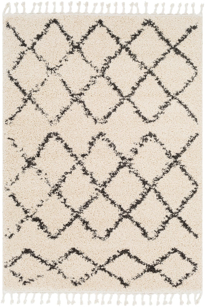 Surya Berber Shag Bbe-2300 Charcoal, Beige Rugs