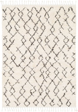 Surya Berber Shag Bbe-2301 Charcoal, Beige Rugs.