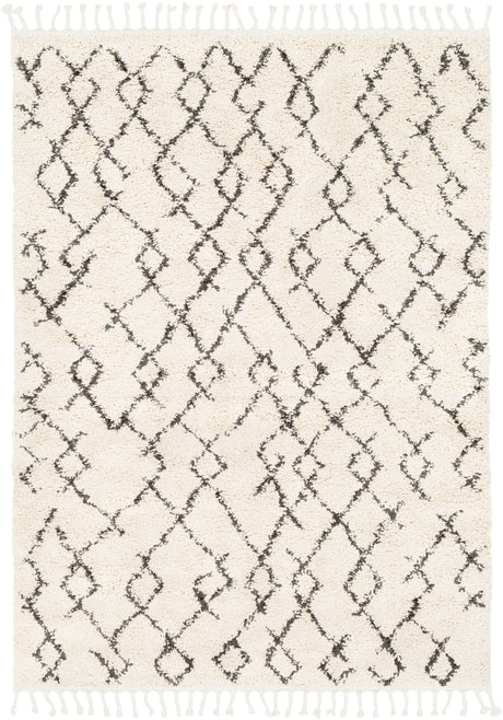 Surya Berber Shag Bbe-2301 Charcoal, Beige Rugs.
