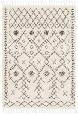 Surya Berber Shag Bbe-2302 Charcoal, Beige Rugs.