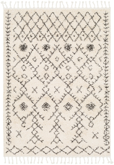 Surya Berber Shag Bbe-2302 Charcoal, Beige Rugs.
