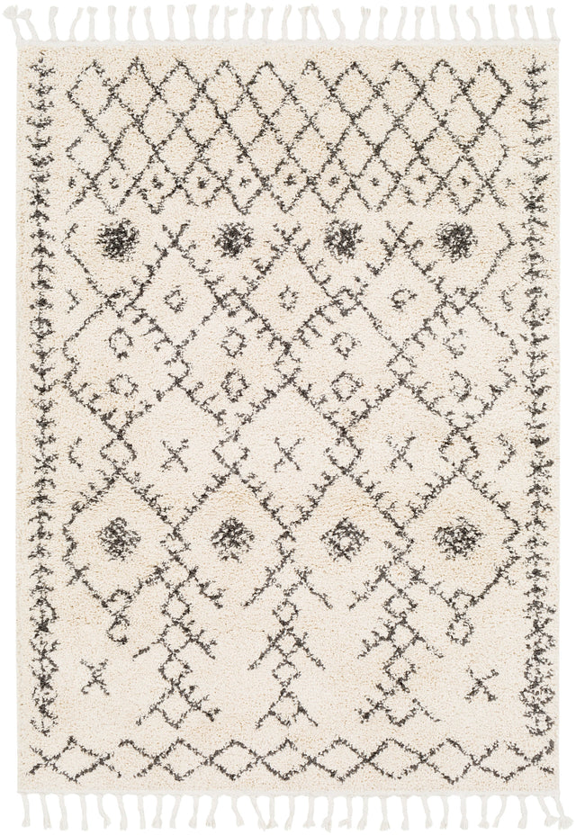 Surya Berber Shag Bbe-2302 Charcoal, Beige Rugs.