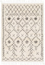 Surya Berber Shag Bbe-2302 Charcoal, Beige Rugs.