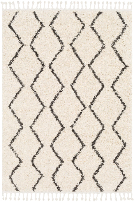 Surya Berber Shag Bbe-2303 Charcoal, Beige Rugs.