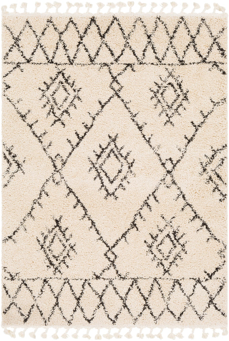 Surya Berber Shag Bbe-2305 Charcoal, Beige Rugs.