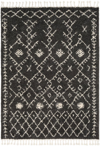 Surya Berber Shag Bbe-2308 Charcoal, Beige Rugs