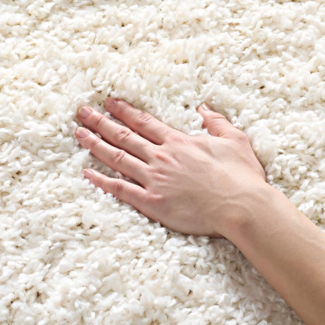 Safavieh August Shag 3'-0" x 5'-0" Rug in Ivory