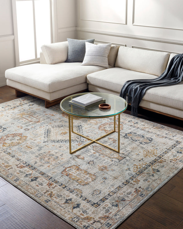 Surya Beckham Bcm-2314 Ice Blue, Off-White, Medium Gray, Charcoal, Amber, Medium Brown Rug.