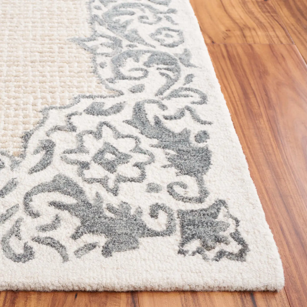 Safavieh Ebony 4'-0" x 6'-0" Rug in Ivory / Grey