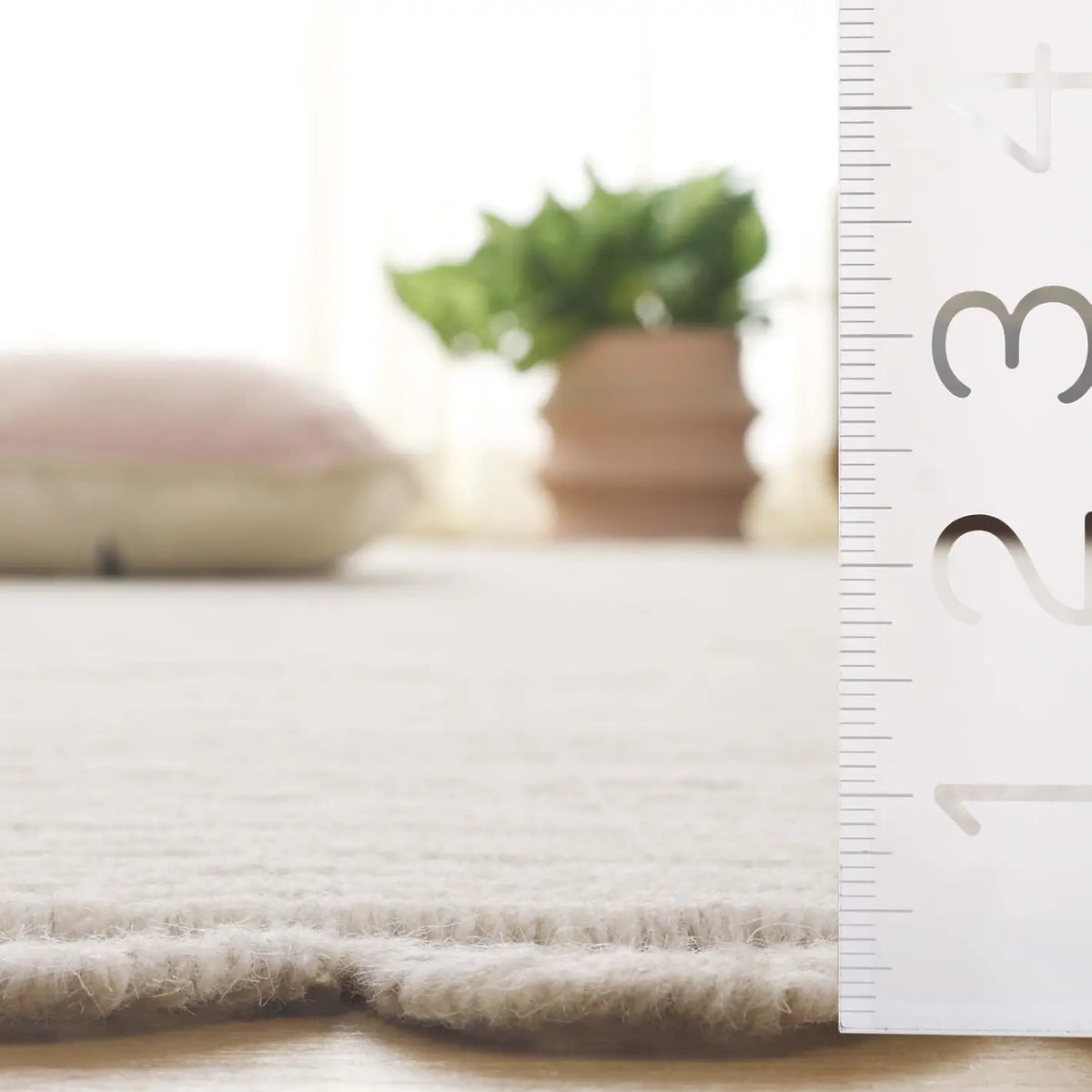 Safavieh Montauk 4'-0" x 6'-0" Rug in Ivory