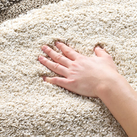 Safavieh Florida Shag 4'-0" x 6'-0" Rug in Brown / Ivory