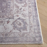 Safavieh Arizona 4'-0" x 6'-0" Rug in Grey / Ivory