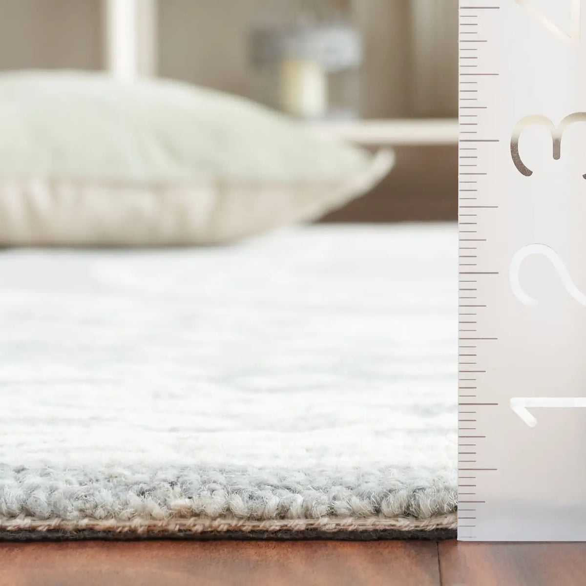 Safavieh Ebony 4'-0" x 6'-0" Rug in Ivory / Grey