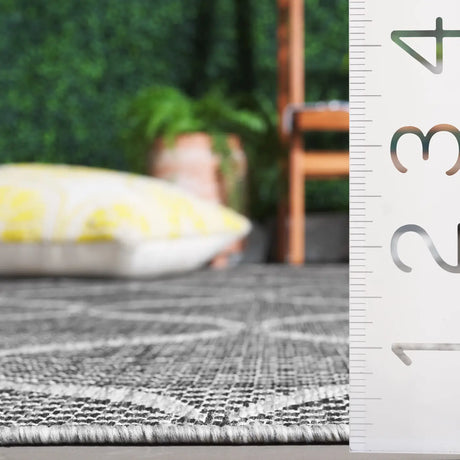 Safavieh Beach House 4'-0" x 6'-0" Rug in Charcoal / Grey