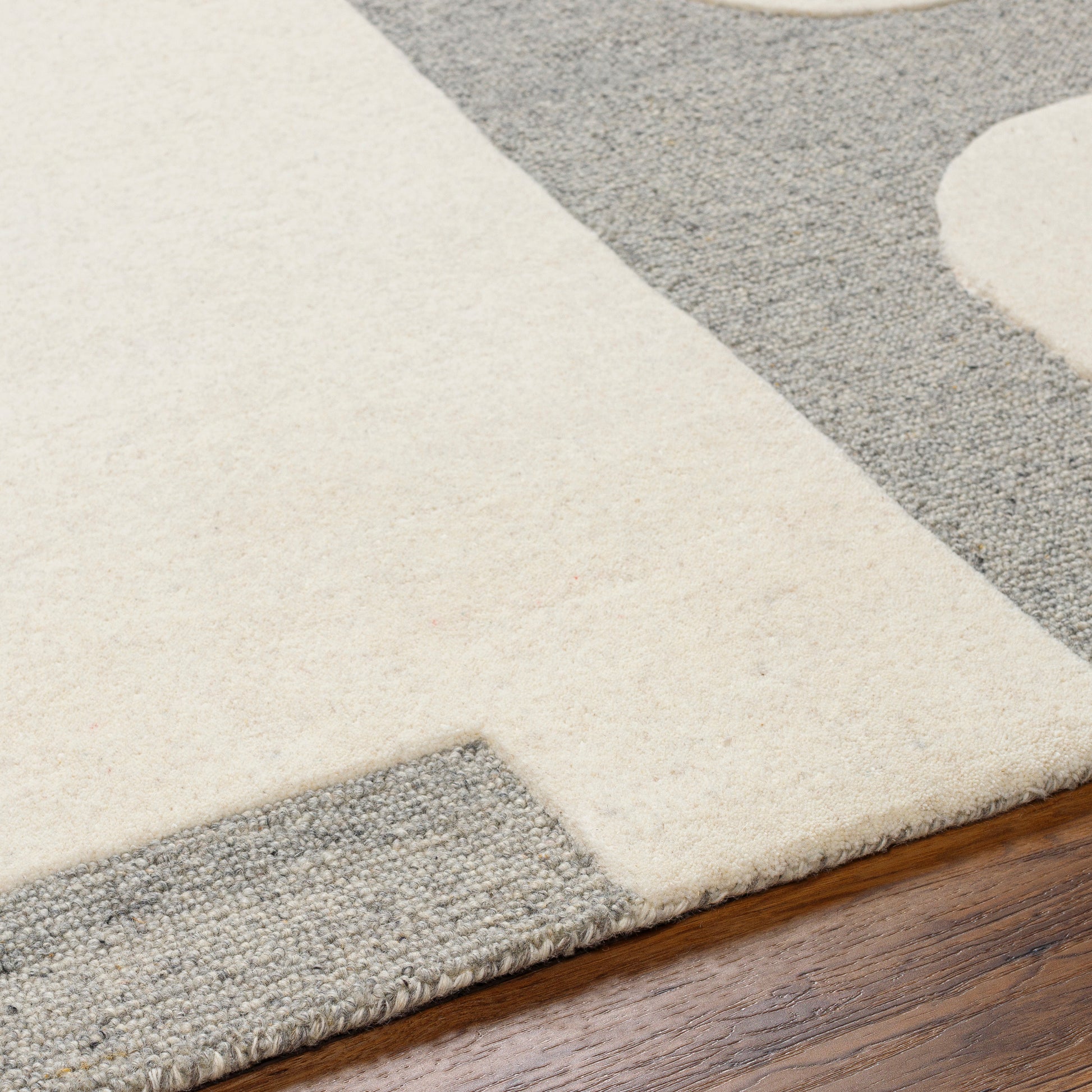 Surya Brook Bko-2301 Beige, Charcoal Area Rug