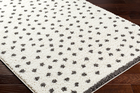 Surya Birmingham Bmm-2301 Ivory, Black Rug.