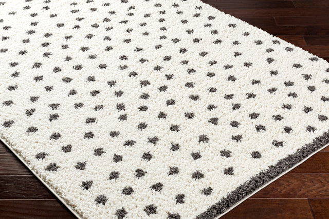 Surya Birmingham Bmm-2301 Ivory, Black Rug.