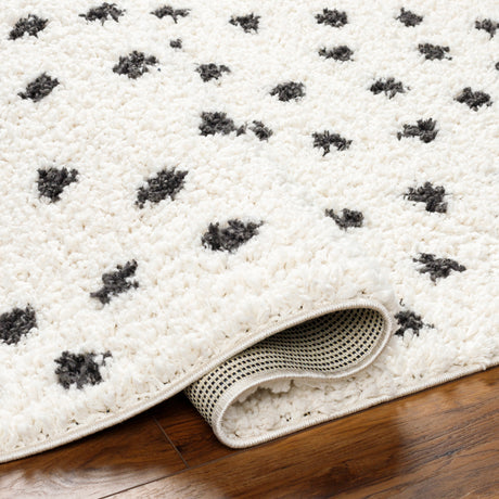 Surya Birmingham Bmm-2301 Ivory, Black Rug.