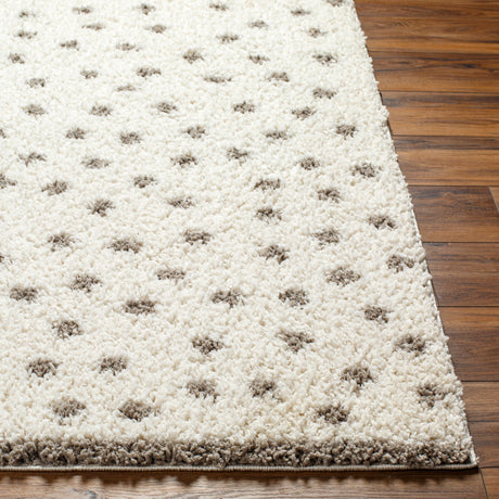 Surya Birmingham Bmm-2302 Ivory, Gray Rug.