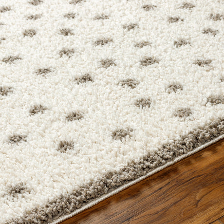 Surya Birmingham Bmm-2302 Ivory, Gray Rug.