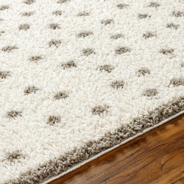 Surya Birmingham Bmm-2302 Ivory, Gray Rug.