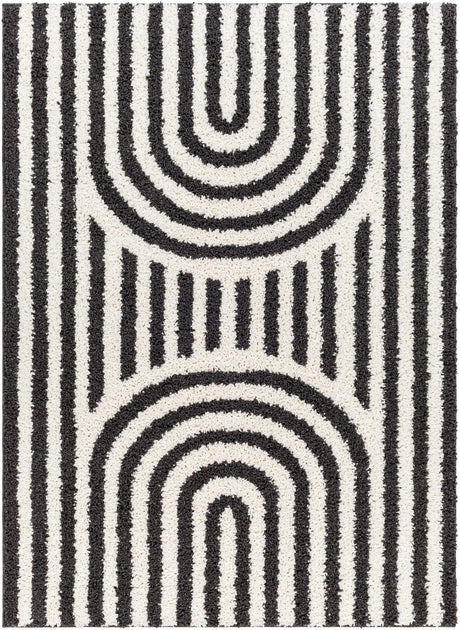 Surya Birmingham Bmm-2304 Ivory, Black Rug.