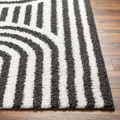 Surya Birmingham Bmm-2304 Ivory, Black Rug.