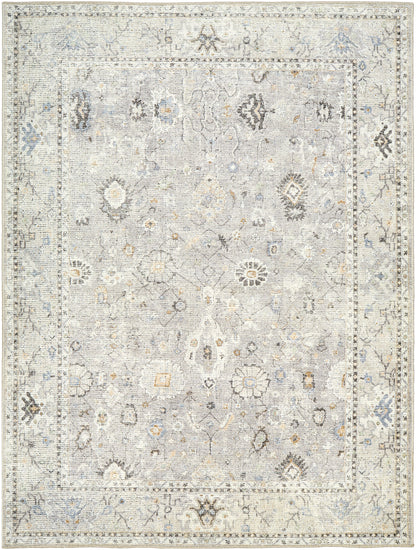 Surya Davina Bocc-2300 Medium Gray, Light Beige, Brown, Denim, White Area Rug