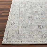 Surya Davina Bocc-2300 Medium Gray, Light Beige, Brown, Denim, White Area Rug