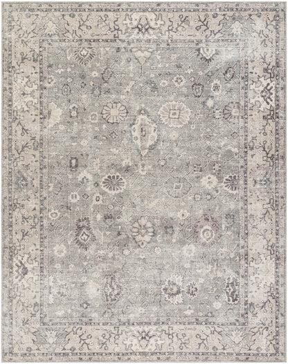 Surya Davina Bocc-2301 Medium Gray, Taupe, Light Gray, Charcoal, White Area Rug