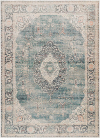 Surya Marlene Bomn-2300 Ice Blue, Blue, Cream, Light Sage, Charcoal, Burgundy Area Rug