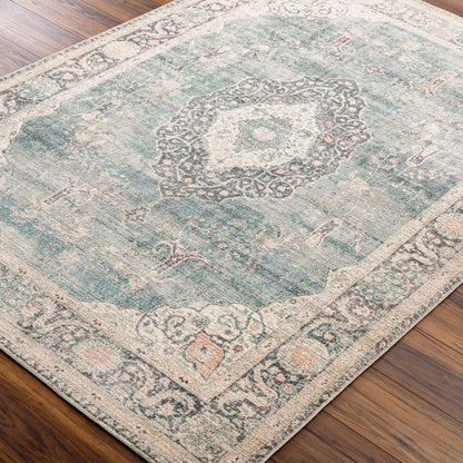 Surya Marlene Bomn-2300 Ice Blue, Blue, Cream, Light Sage, Charcoal, Burgundy Area Rug