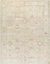 Surya Marlene Bomn-2308 Ivory, Cream, Medium Brown, Dusty Coral, Seafoam, Mustard Area Rug