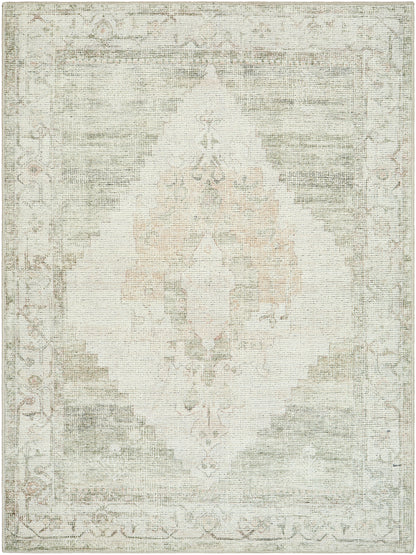 Surya Luca Bonc-2302 Ivory, Olive, Tan, Light Brown Area Rug