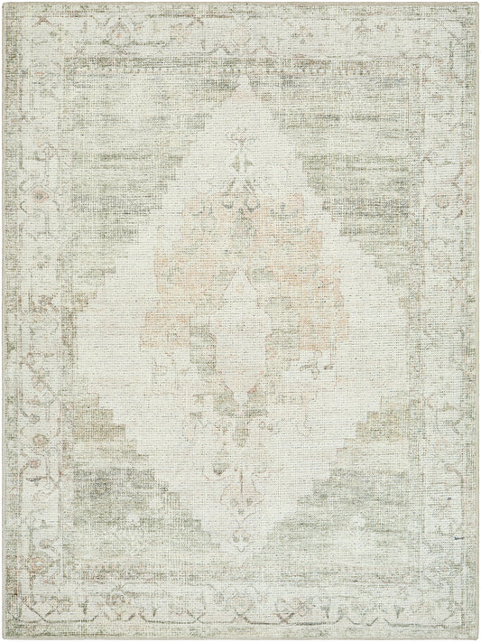 Surya Luca Bonc-2302 Ivory, Olive, Tan, Light Brown Area Rug