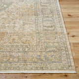 Surya Renaissance BORI-2300 Light Beige, Taupe, Dark Brown, Tan