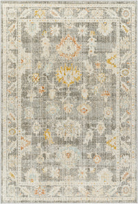 Surya Bitlis Bsi-2303 Tan, Silver Gray, Beige, Gray, Brown Area Rug