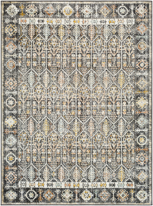 Surya Bitlis Bsi-2304 Black, Silver Gray, Tan, Beige, Gray Area Rug