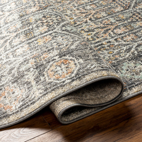 Surya Bitlis Bsi-2304 Black, Silver Gray, Tan, Beige, Gray Rug.