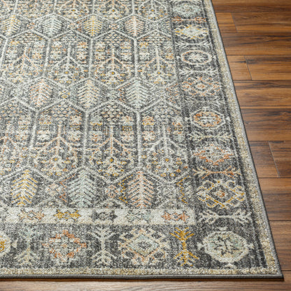 Surya Bitlis Bsi-2304 Black, Silver Gray, Tan, Beige, Gray Area Rug