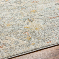 Surya Bitlis Bsi-2306 Silver Gray, Tan, Gray, Brown, Mustard Area Rug