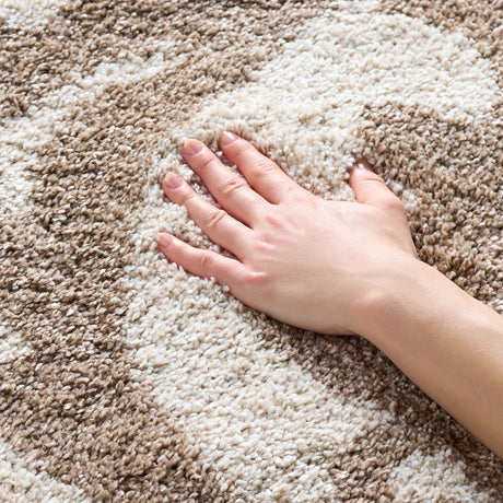 Safavieh Florida Shag 4'-0" x 6'-0" Rug in Cream / Beige