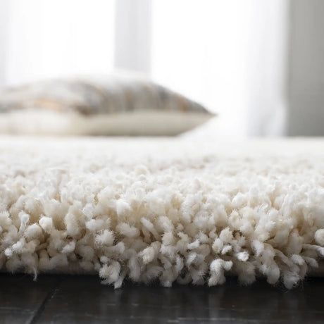 Safavieh Hudson Shag 4'-0" x 6'-0" Rug in Ivory / Beige