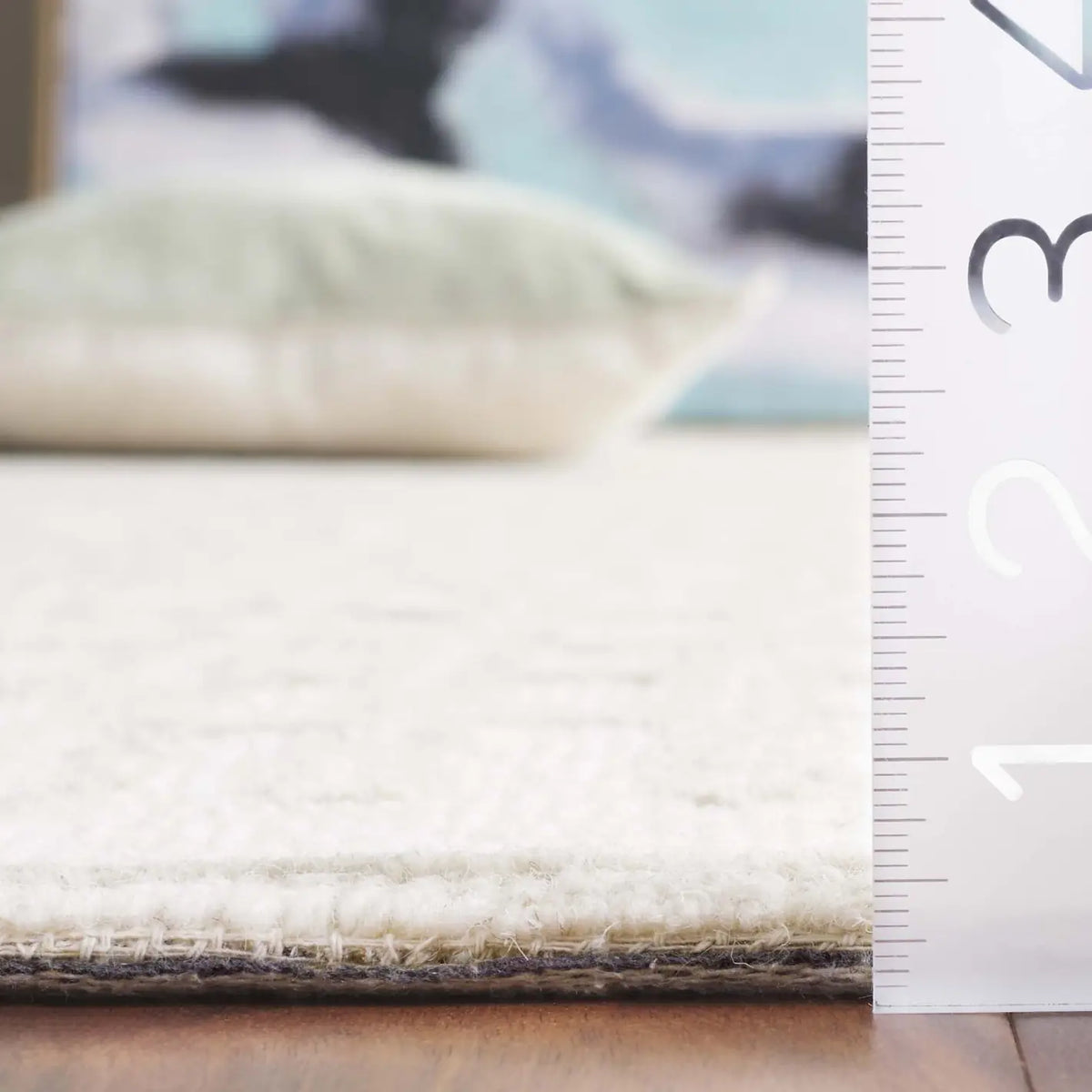 Safavieh Ebony 4'-0" x 6'-0" Rug in Ivory / Beige