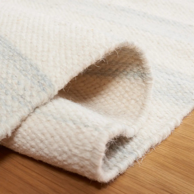 Safavieh Dhurries 4'-0" x 6'-0" Rug in Light Blue / Ivory