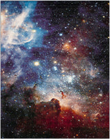 Safavieh Galaxy 10'-6" x 14'-0" Rug in Purple / Multi