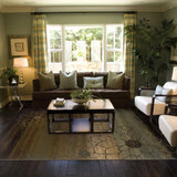 Oriental Weavers Sphinx Hudson 074a1 Brown / Beige Rugs - room scene